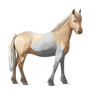 pony highland pony gestippeld grijs