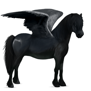 pony-pegasus shetlander lever kastanje