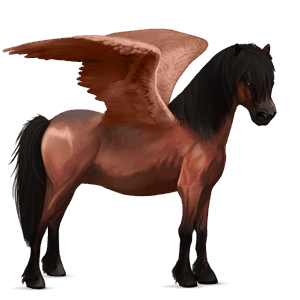 pony-pegasus welsh donkerbruin