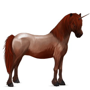 pony-eenhoorn bruin