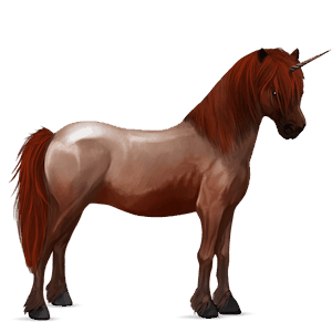 pony-eenhoorn welsh roodschimmel