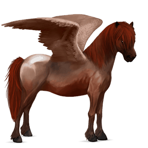 pony-pegasus shetlander zweetvos kastanje 
