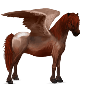 pony-pegasus shetlander lichtgrijs