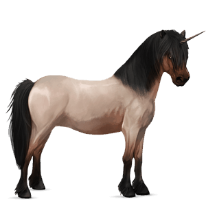 pony-eenhoorn kerry bog kastanje