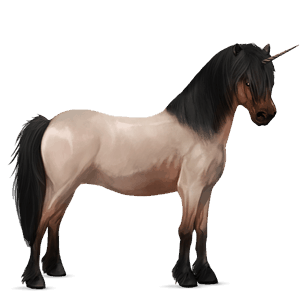 pony-eenhoorn newfoundland pony kastanje