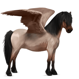 pony-pegasus welsh roan