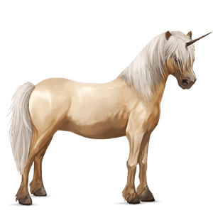 pony-eenhoorn kerry bog bruine tobiano
