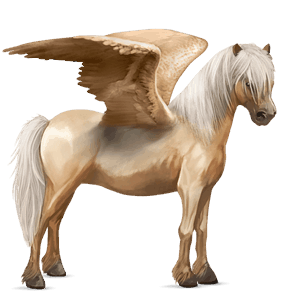 pony-pegasus bruin