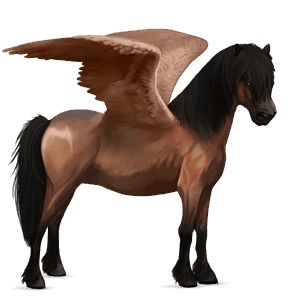 pony-pegasus welsh bruin