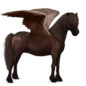 pony-pegasus shetlander gestippeld grijs