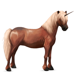 pony-eenhoorn zweetvos kastanje 