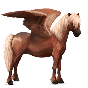 pony-pegasus palomino