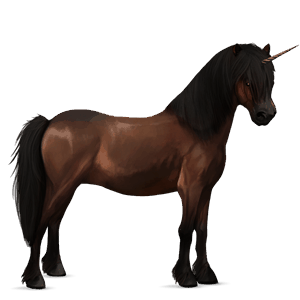 pony-eenhoorn donkerbruin