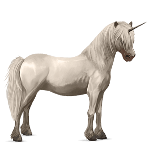 pony-eenhoorn highland pony muisgrijs