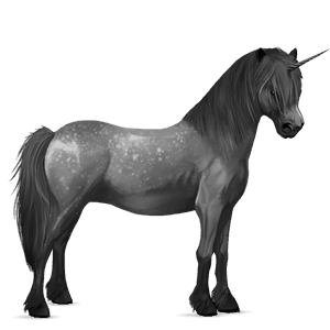 pony-eenhoorn connemara gestippeld grijs