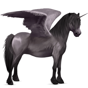 gevleugelde pony-eenhoorn  kerry bog muisgrijze tobiano