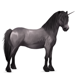 pony-eenhoorn kerry bog muisgrijs