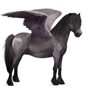 pony-pegasus fjord gra