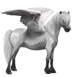 pony-pegasus welsh muisgrijs