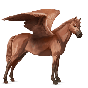 pony-pegasus welsh kastanje