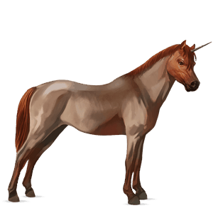 pony-eenhoorn shetlander kastanje