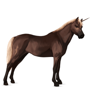 pony-eenhoorn welsh zweetvos lever kastanje 