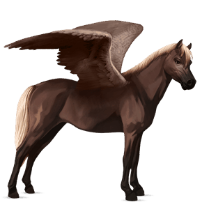 pony-pegasus zweetvos lever kastanje 