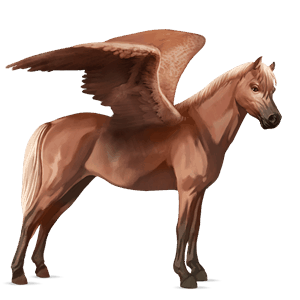 pony-pegasus welsh zweetvos kastanje 