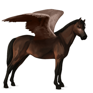 pony-pegasus welsh donkerbruin