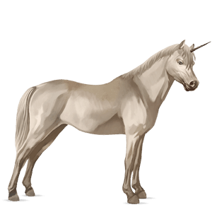 pony-eenhoorn welsh donkerbruin
