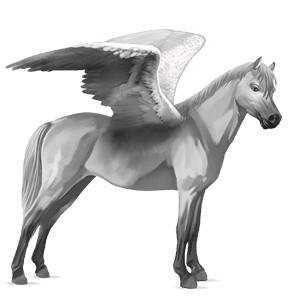 pony-pegasus welsh lichtgrijs