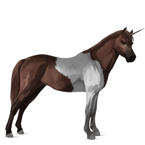 pony-eenhoorn welsh wildkleur