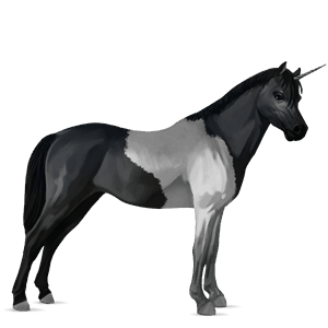 pony-eenhoorn kerry bog bruine tobiano