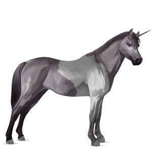 pony-eenhoorn shetlander kastanje