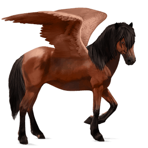 rijpaard-pegasus lusitano roodbruin