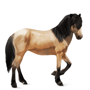 rijpaard lusitano bruin