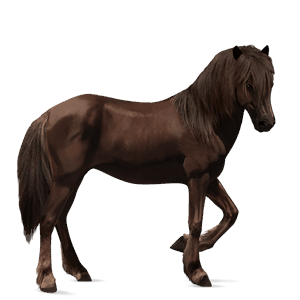 pony welsh muisgrijs