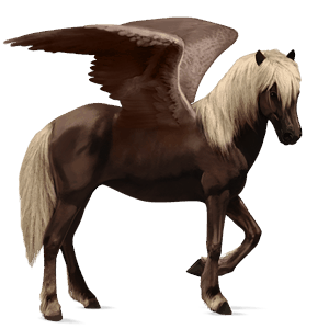 rijpaard-pegasus ijslander roan