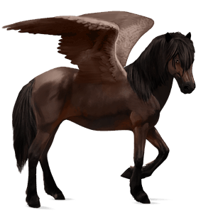 rijpaard-pegasus donkerbruin