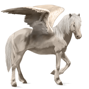 rijpaard-pegasus lusitano cremello
