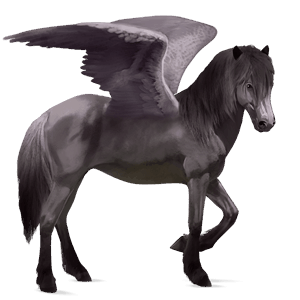 rijpaard-pegasus poolse konik muisgrijs
