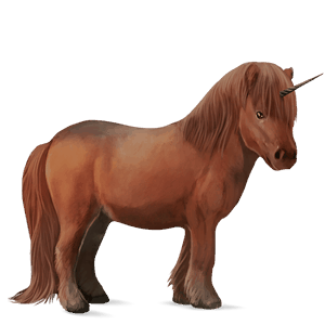 pony-eenhoorn shetlander kastanje