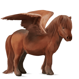 pony-pegasus welsh bruin