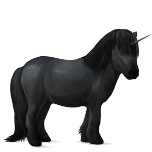 pony-eenhoorn zwart