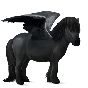 pony-pegasus zwart