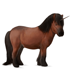 pony-eenhoorn shetlander bruin