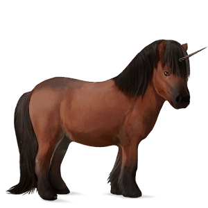 pony-eenhoorn shetlander kastanje