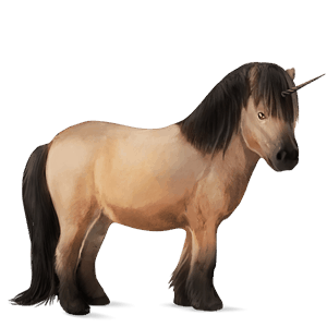 pony-eenhoorn shetlander zweetvos kastanje 