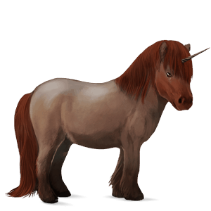 pony-eenhoorn donkerbruin