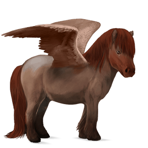 pony-pegasus shetlander donkerbruin